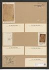 Cocconeis wrightii O'Meara (de-Toni-Nr.: Genus 40, Species 1822) Zeichnungen Sammlung Grunow Nr. 3615 (NHMW-BOT-W0371215)